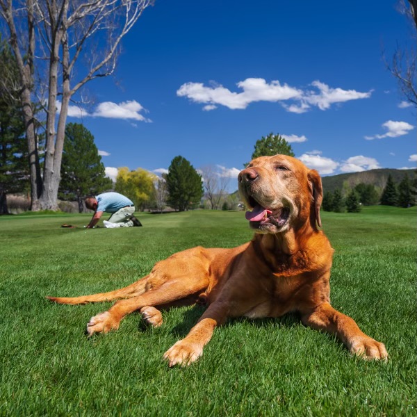 Golf Course Home Ranch at Roaring Fork Golf Course